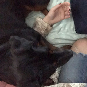 Meet your Posher, Samantha